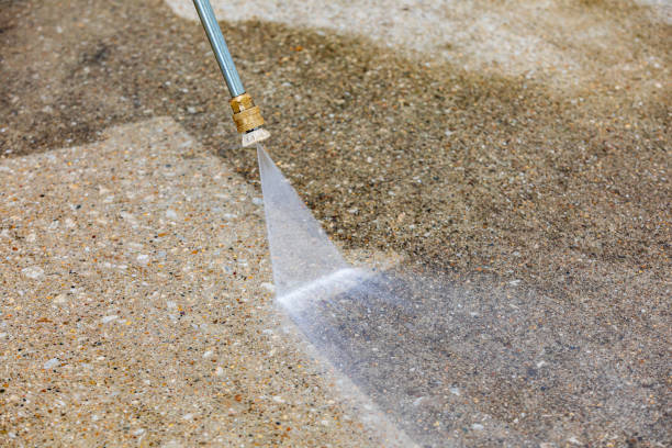 Animal Enclosure Cleaning in Erie, CO